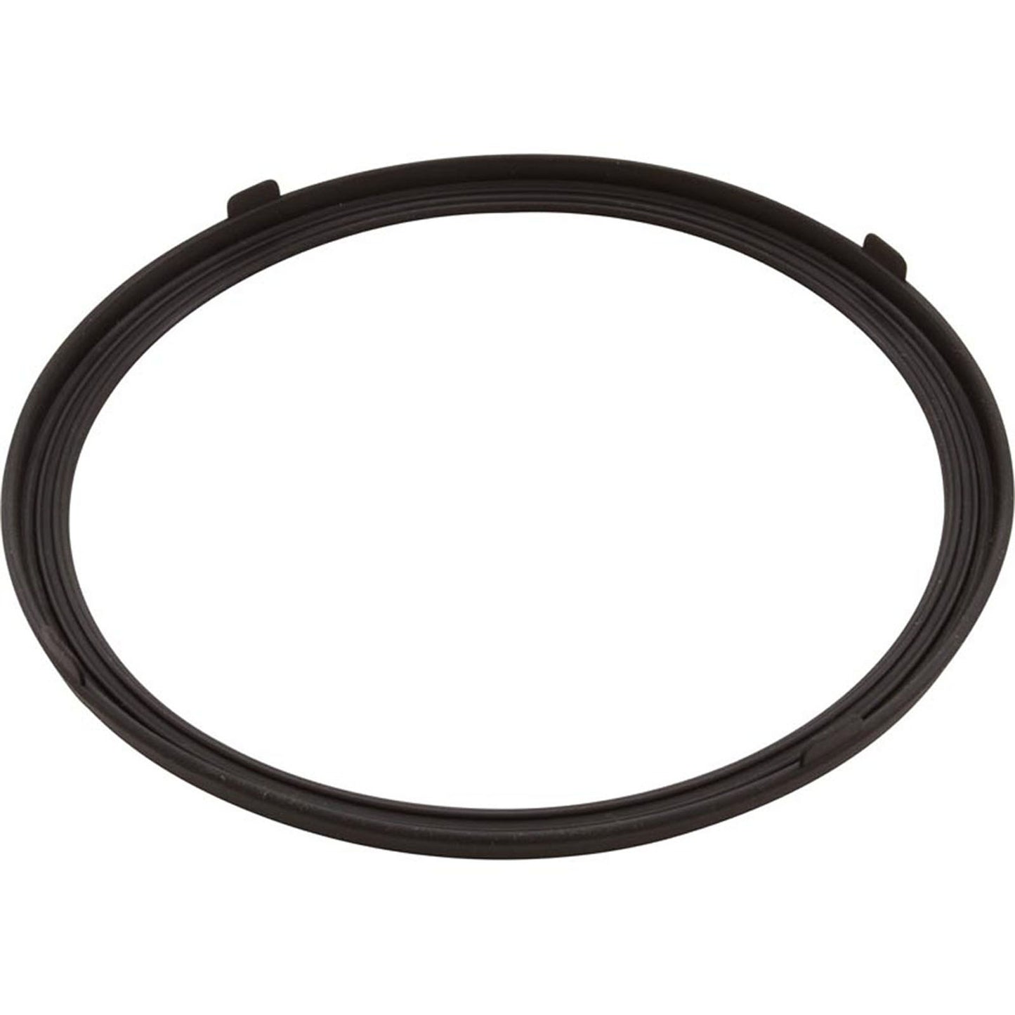 Gasket, Pentair AquaLumin III, Light Lens