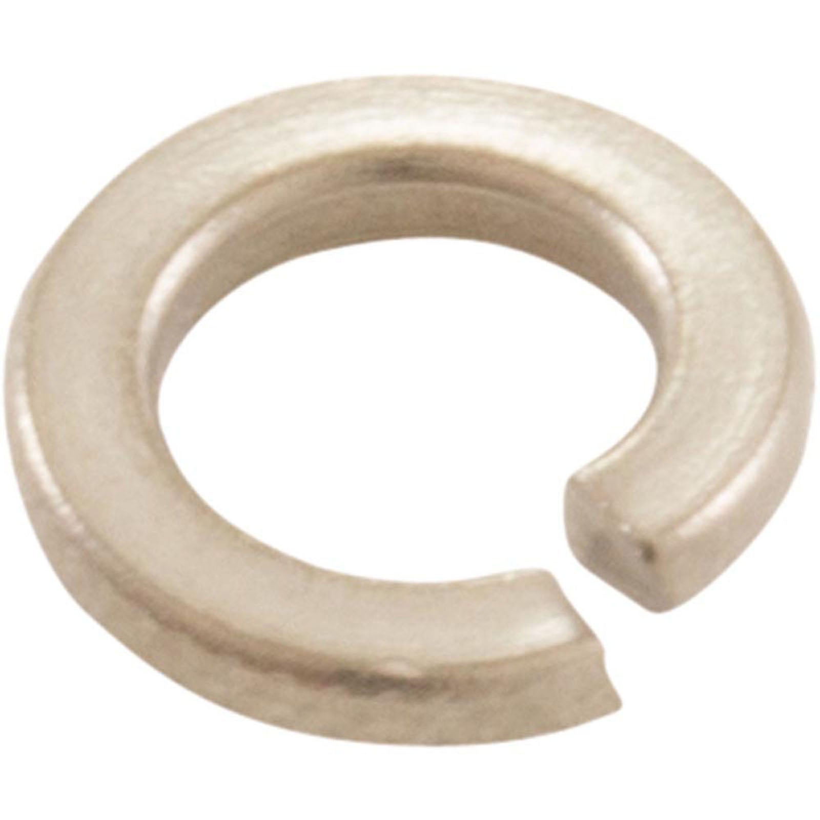 Lock Washer, Pentair, Light Housing, SS