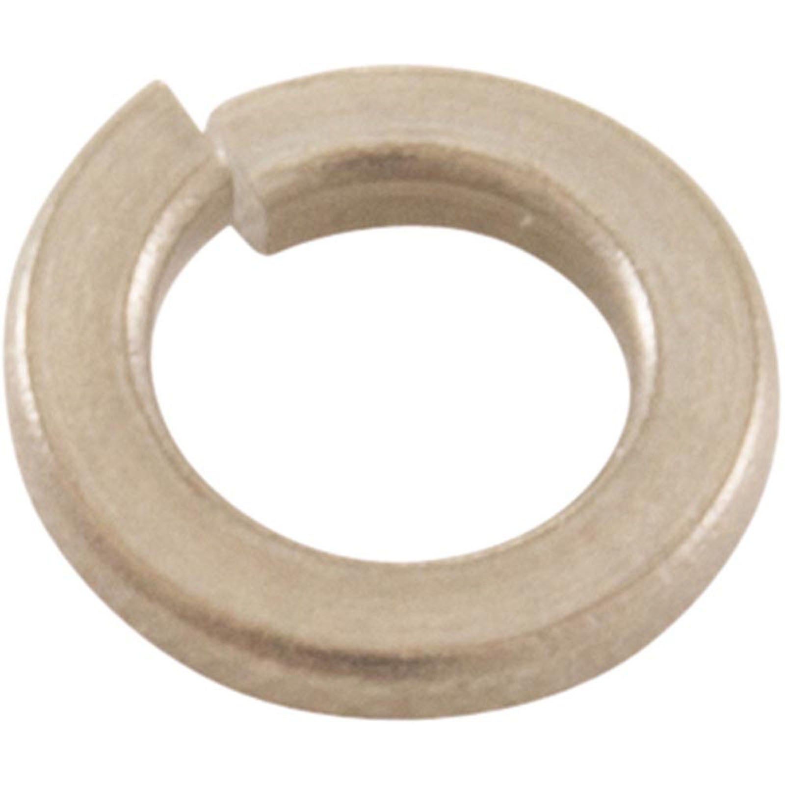 Lock Washer, Pentair, Light Housing, SS