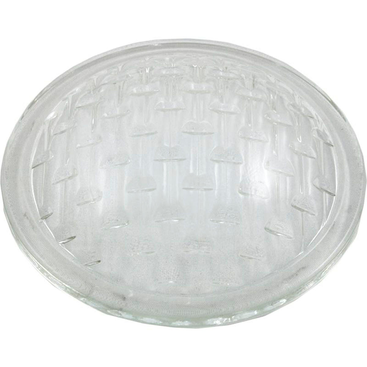 Light Lens, Pentair American Products AquaLight/Spa Brite