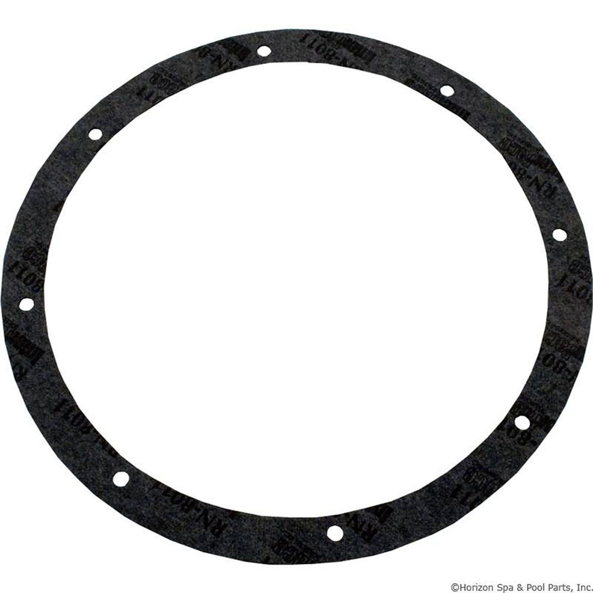 Light Niche Gasket Kit, Pentair Amerlite, 8-Hole, Vinyl