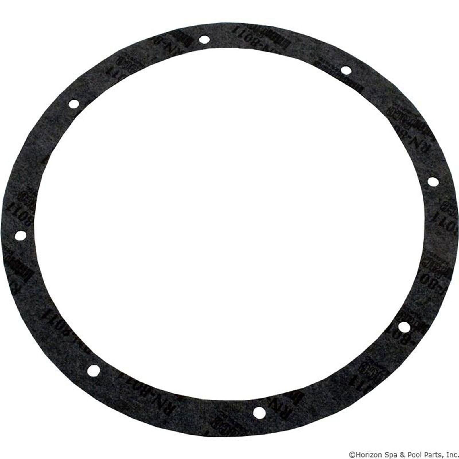 Light Niche Gasket Kit, Pentair Amerlite, 8-Hole, Vinyl
