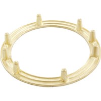 Light Niche Backup Ring, Pentair, AquaLight, Tapped, SS