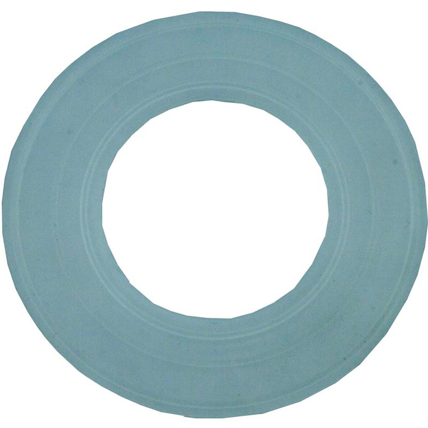 Light Gasket, Pentair, Aqualuminator