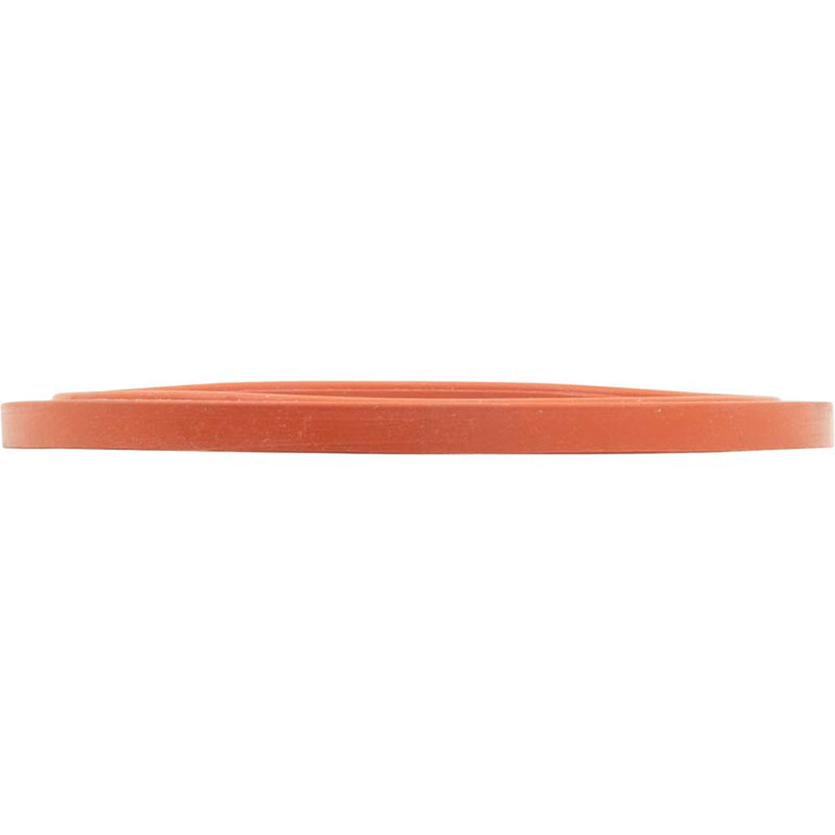 Gasket, SwimQuip Lens, Silicone, Extra Heavy Duty