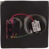 Shut Off Switch, Pentair, Compool, with Alarm