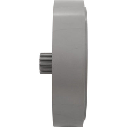 Roue, Zodiac Polaris 3900, double face