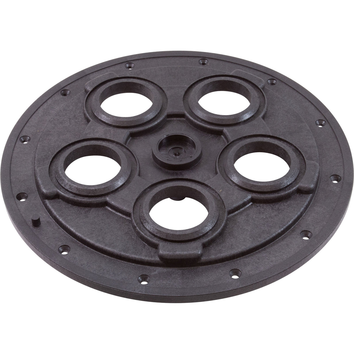 Center Plate, Zodiac Polaris Caretaker Valve