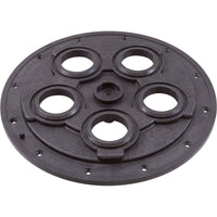 Placa central, válvula de protección Zodiac Polaris