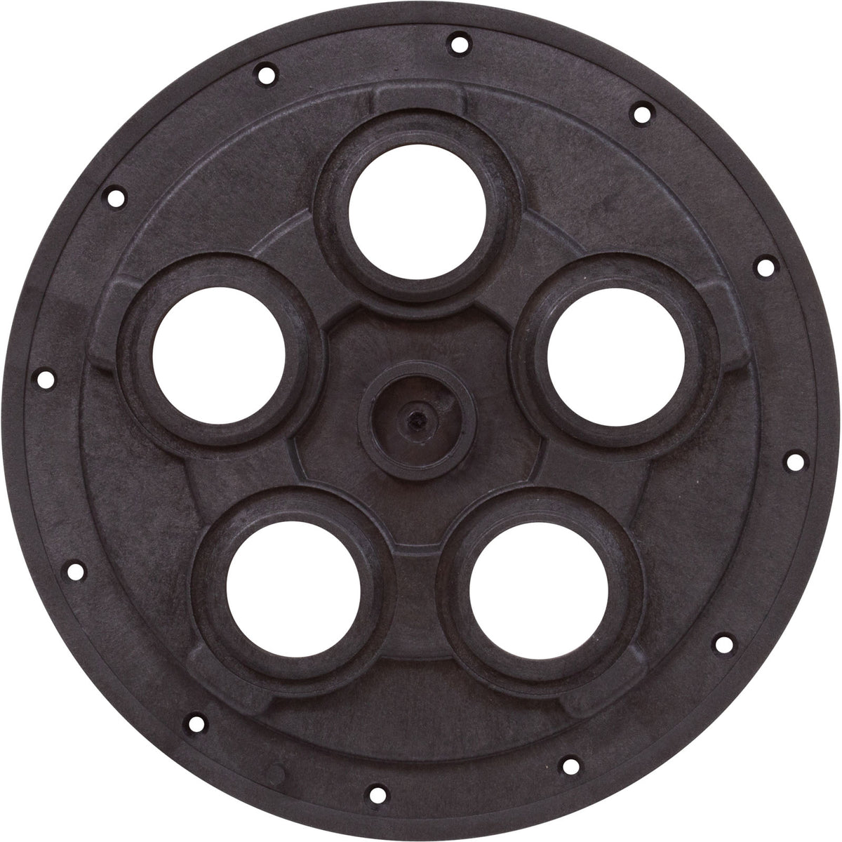 Center Plate, Zodiac Polaris Caretaker Valve