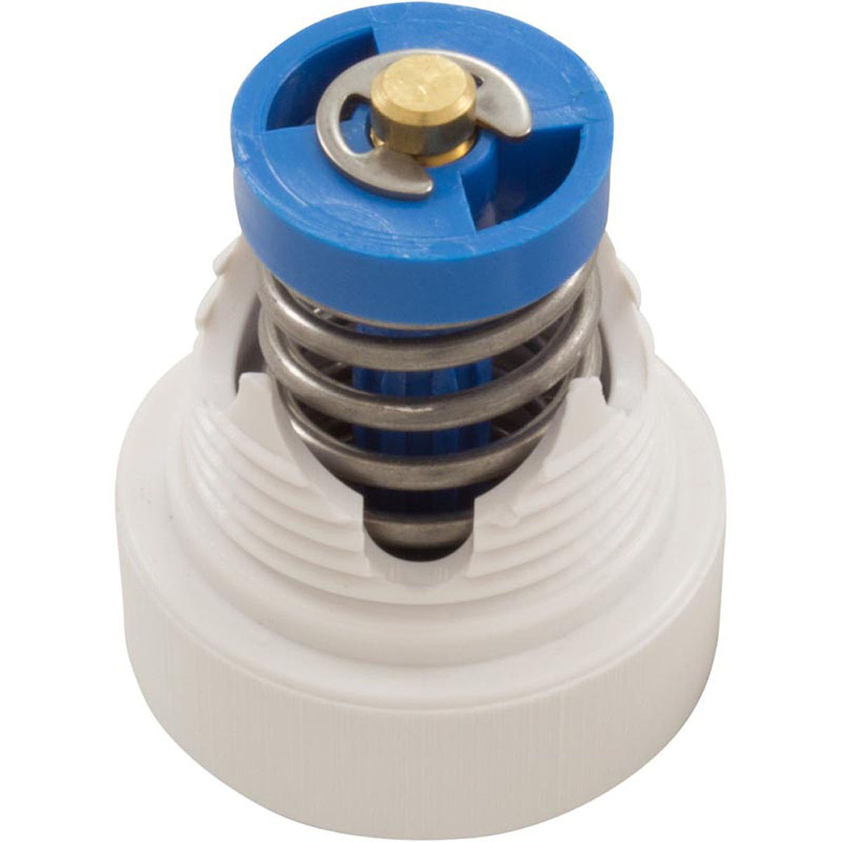 Pressure Relief Valve, Pentair Letro LX2000/LX5000G Cleaner