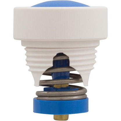 Soupape de surpression, nettoyeur Pentair Letro LX2000/LX5000G