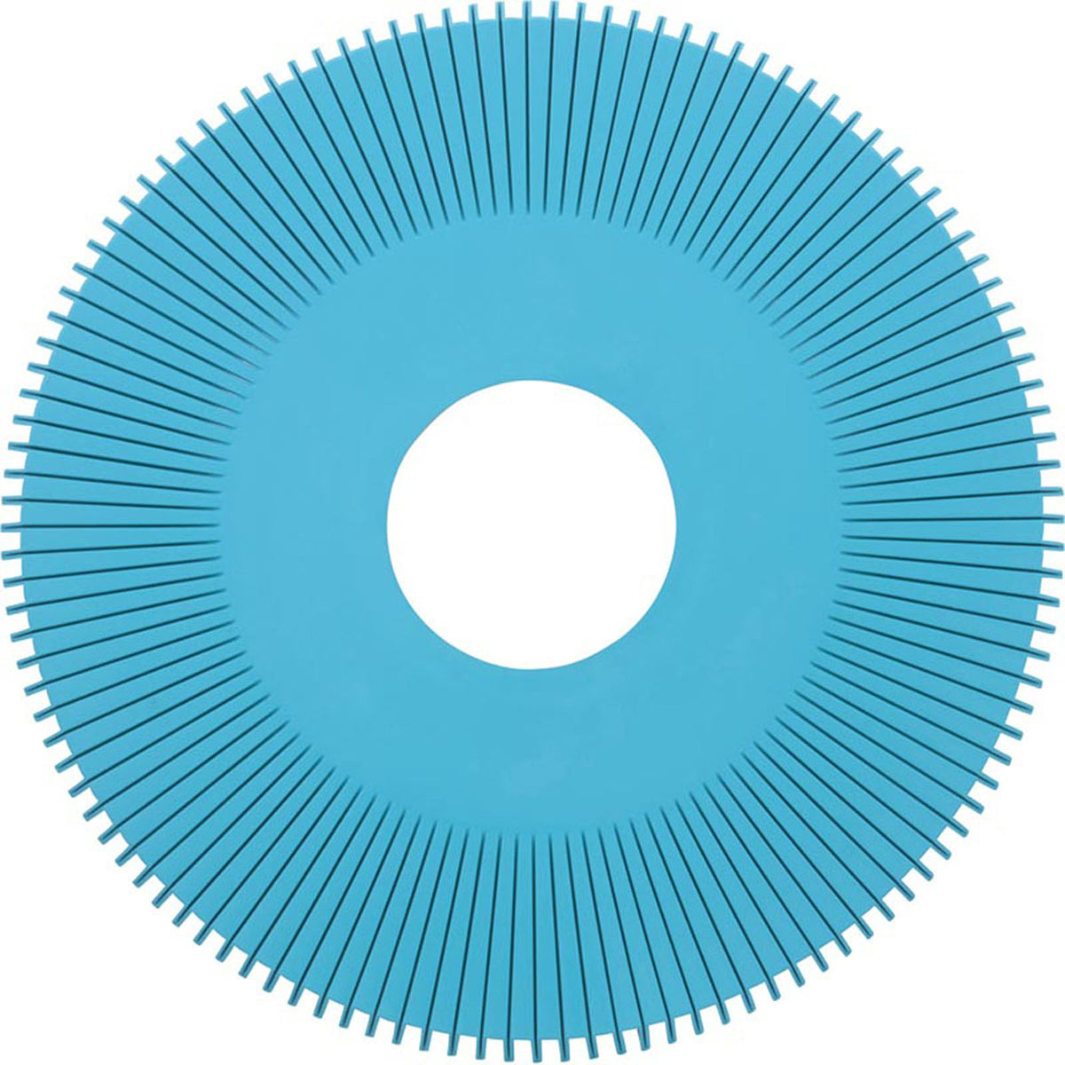 Disc, Pentair E-Z Vac Cleaner, Pleated