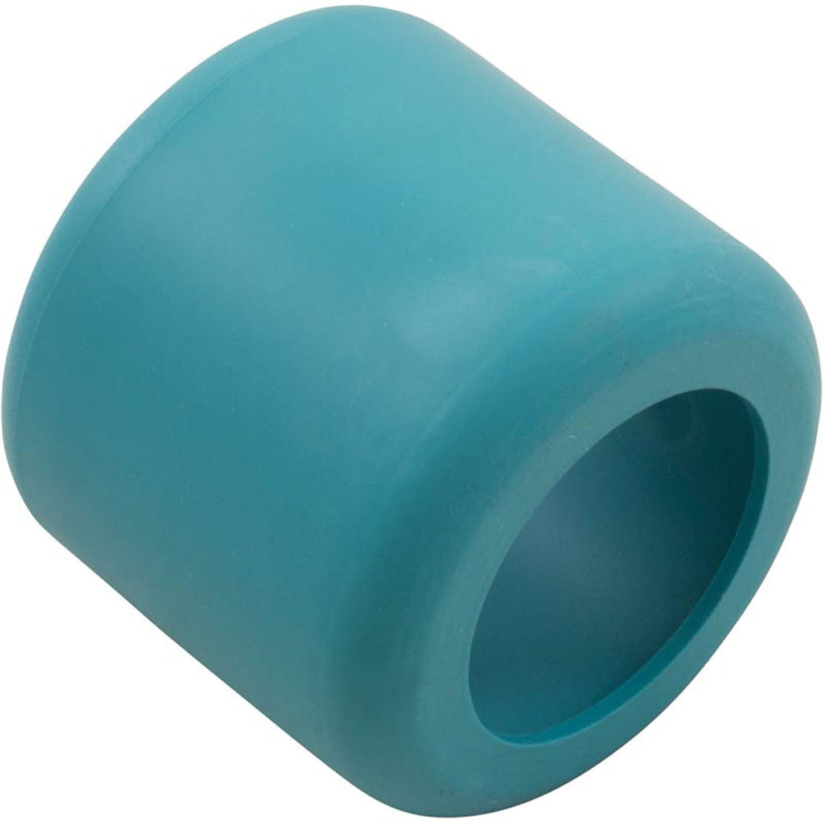 Hose Weight, Pentair E-Z Vac Cleaner