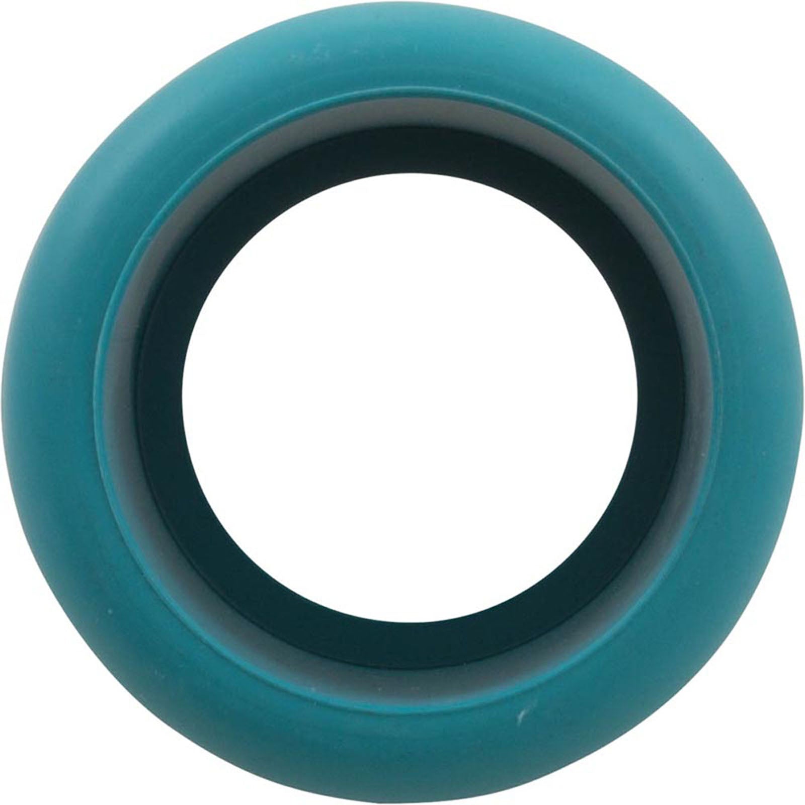 Hose Weight, Pentair E-Z Vac Cleaner