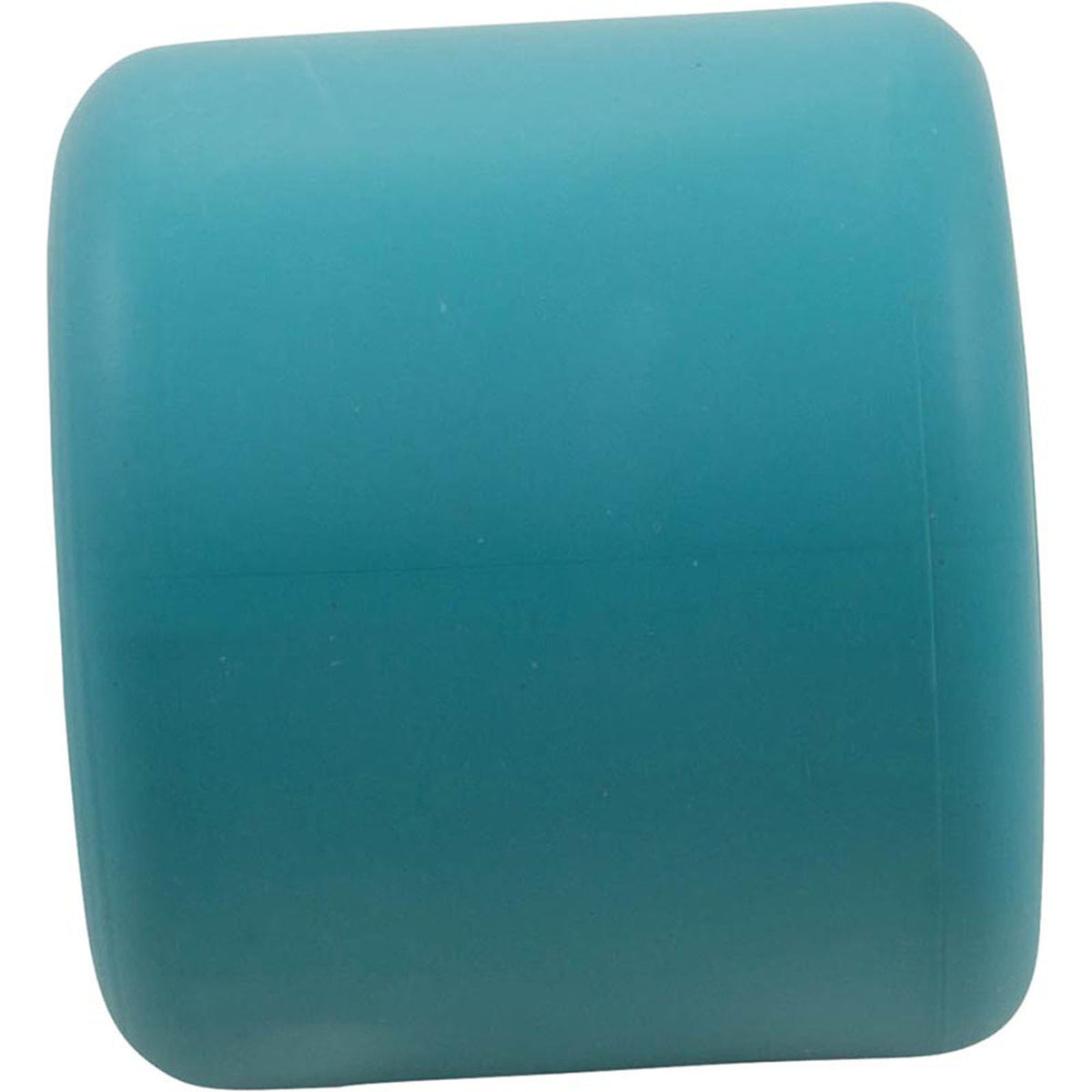 Hose Weight, Pentair E-Z Vac Cleaner