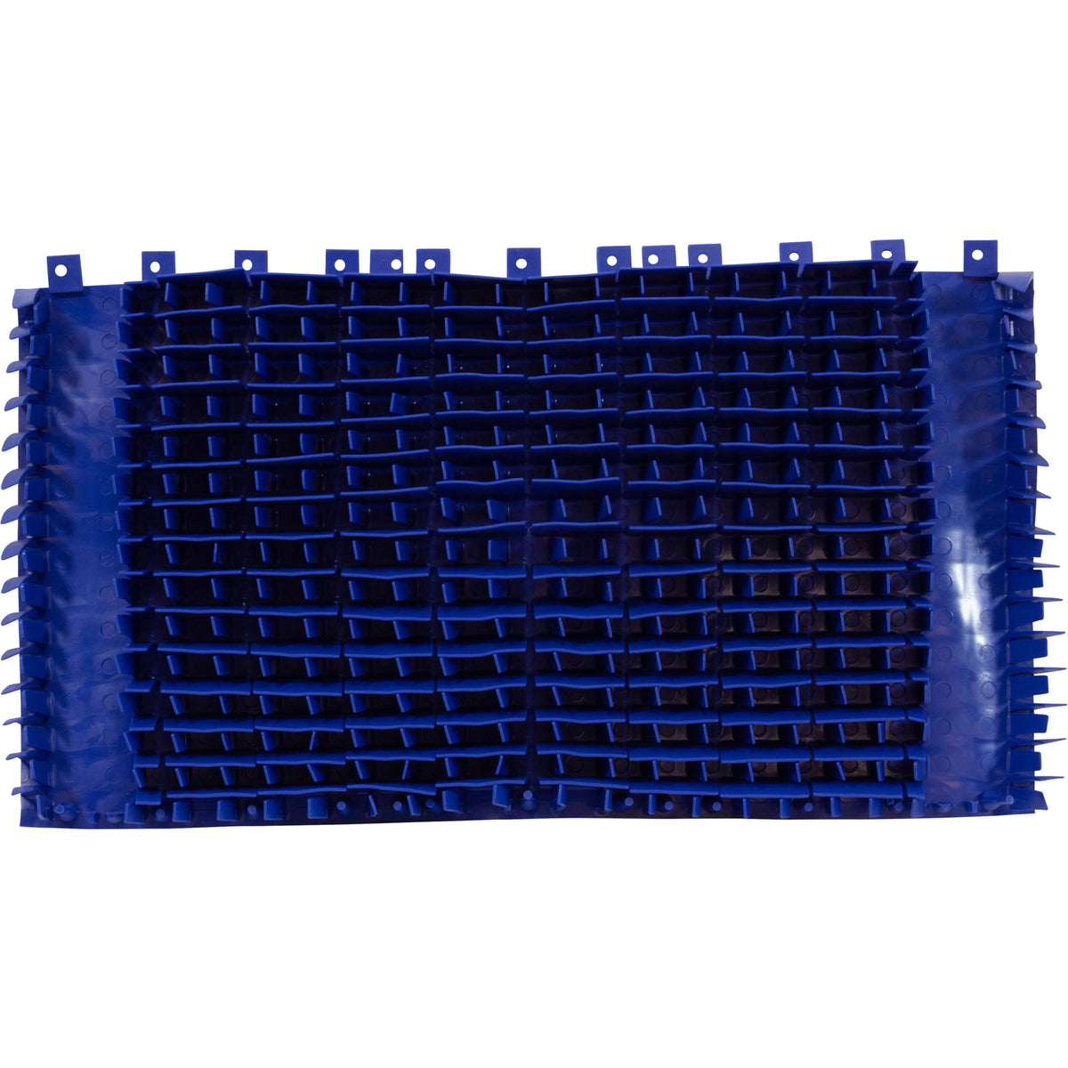 Brush Climbing, Maytronics Dolphin, Blue, w/o Rings, Qty 2