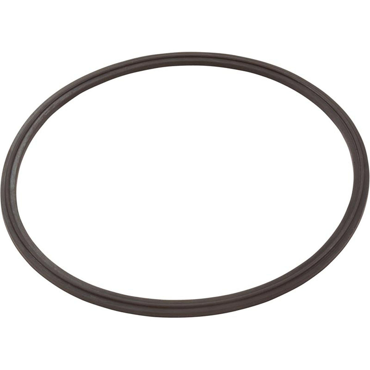 Leaf Catcher Seal, Zodiac Cyclonic Leaf Catcher