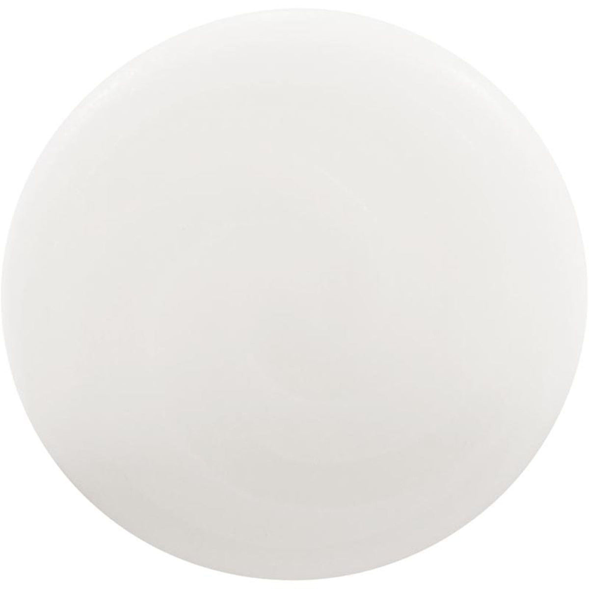 Retainer Clip, Hayward Next Gen, White