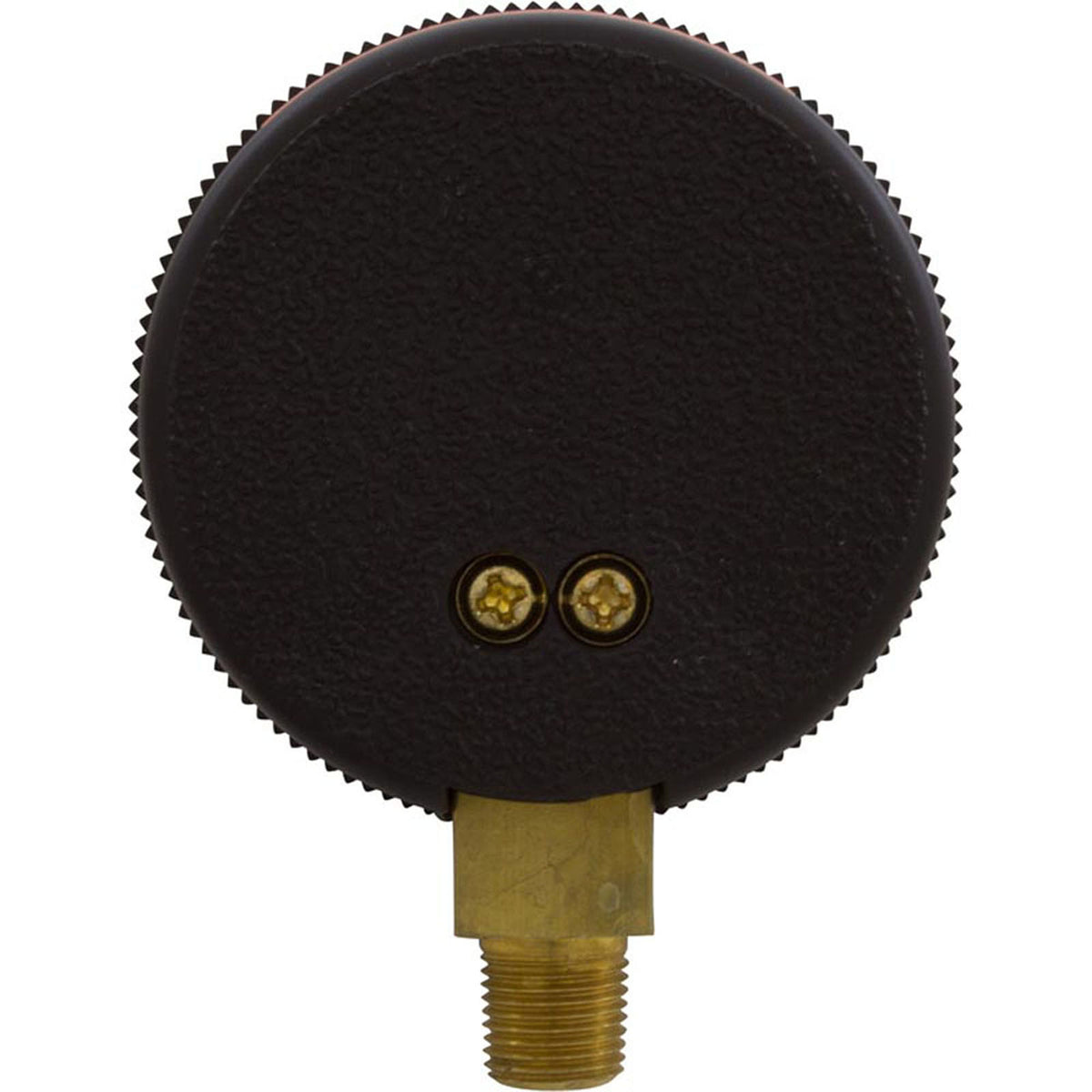 Manómetro, manguera Zodiac Ray-Vac/DM, 60 psi, montaje inferior