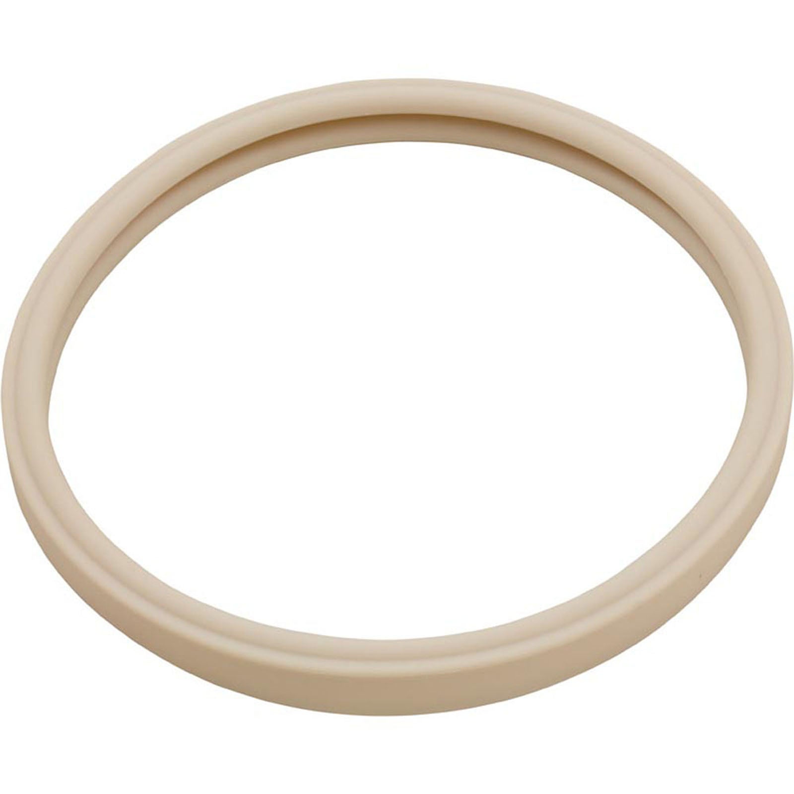 Gasket, Pentair AmerLite, Light Lens, 8-3/8"