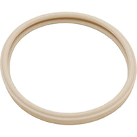 Gasket, Pentair AmerLite, Light Lens, 8-3/8"