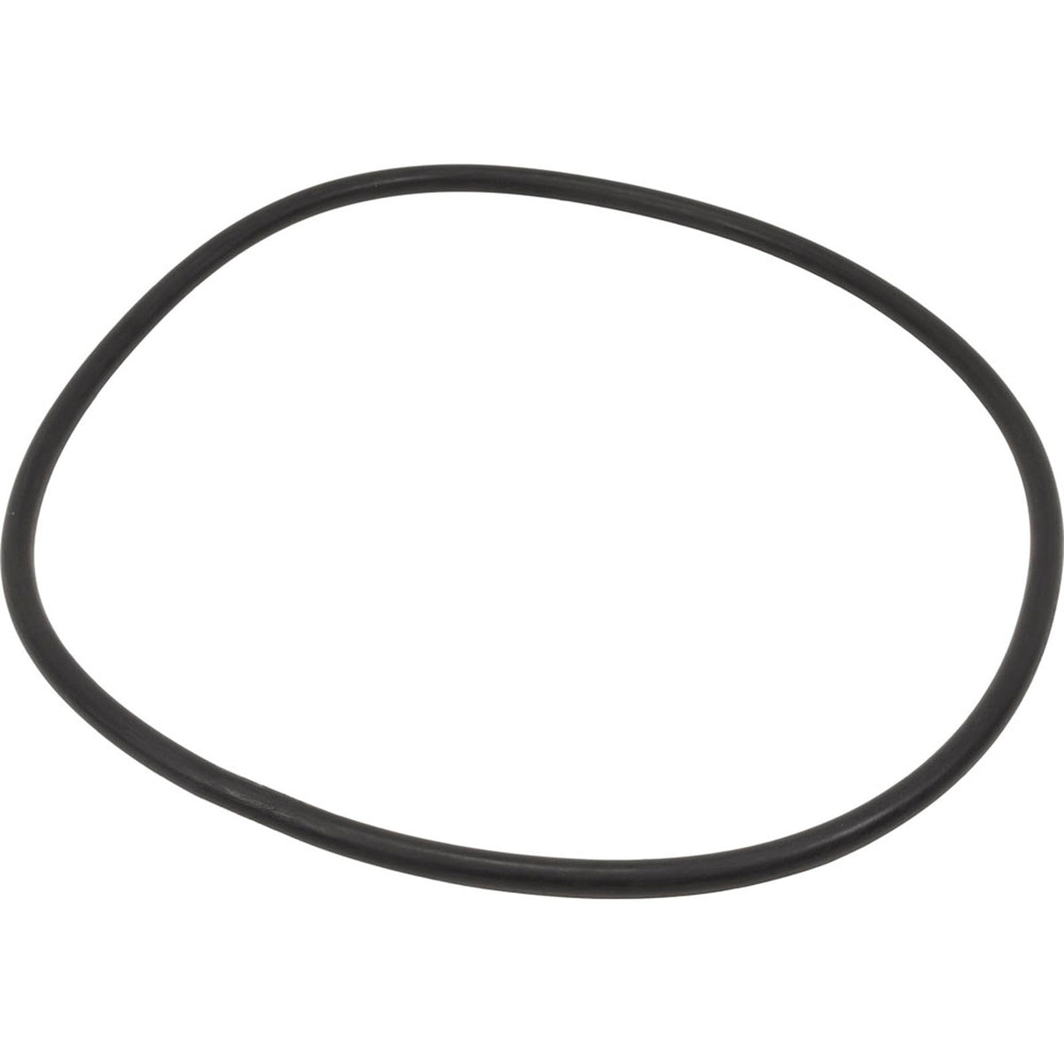 O-Ring, THS Series Filter, Manway