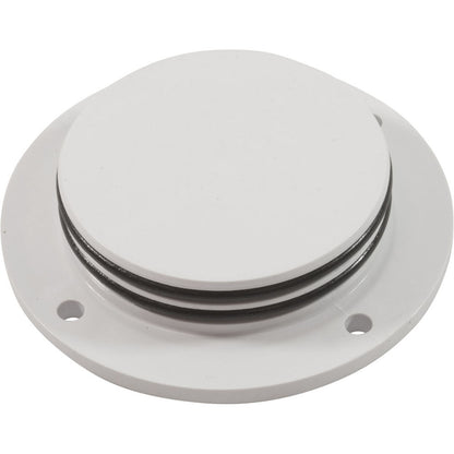 Plug, Fg Main Drain, For Pressure Test