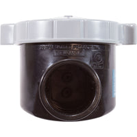 Corrosion Resistant Serviceable Check Valve, 1.5In