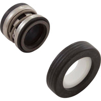 Waterway Booster Pump Seal Set