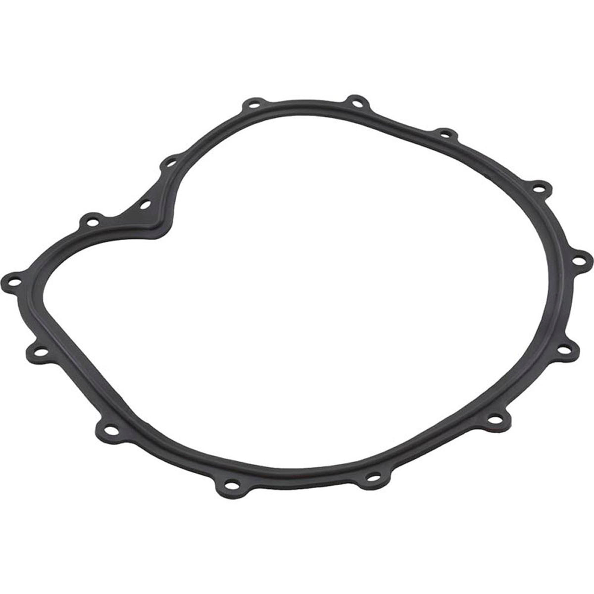 Faceplate Gasket, Big Red Pump