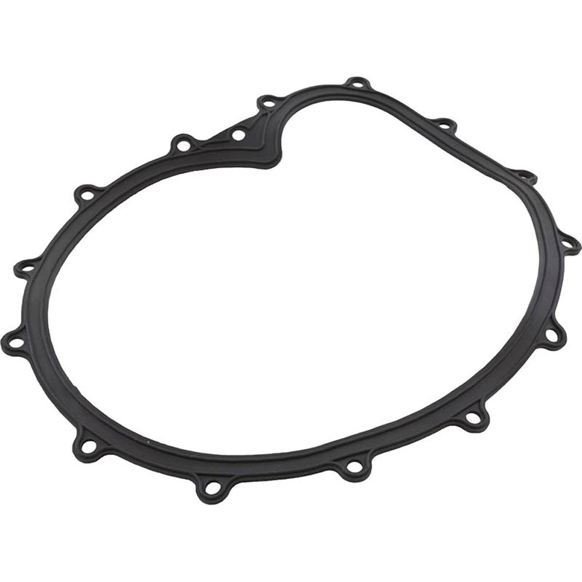 Faceplate Gasket, Big Red Pump