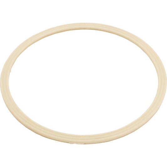 Flat Gasket - Dyna Flo Skim Filter