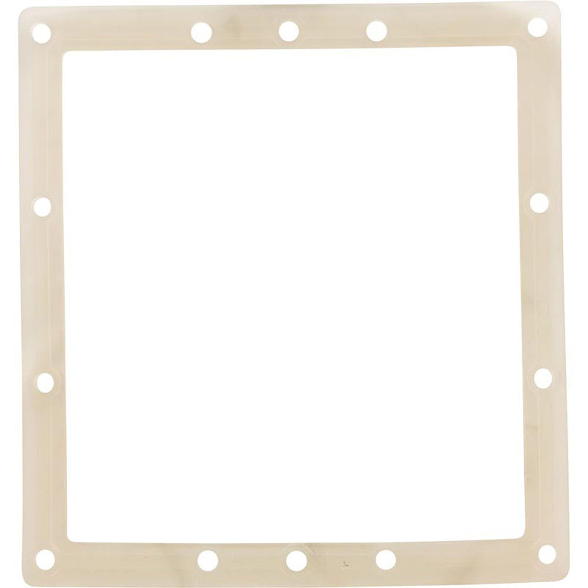 Gasket - 50Sf F/A Skim Filter Body