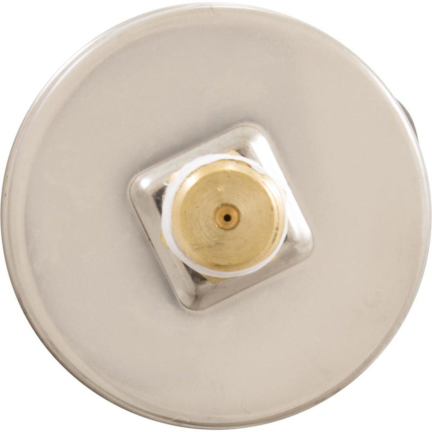 Pressure Gauge Clearwater Ii Waterproof Ss