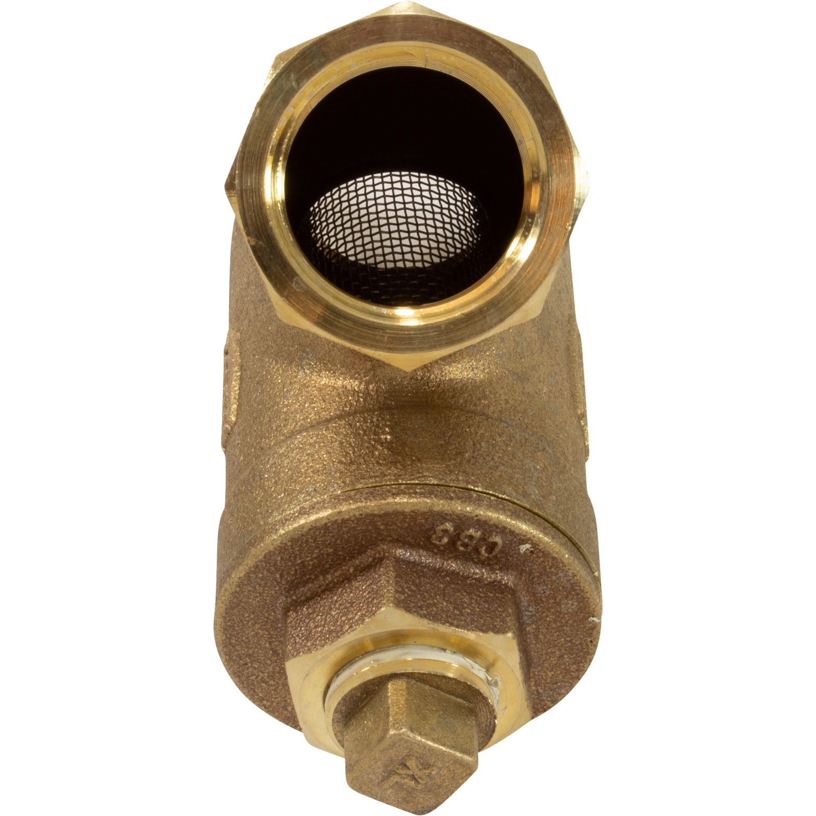 Jandy Pro Series 1" Y Strainer