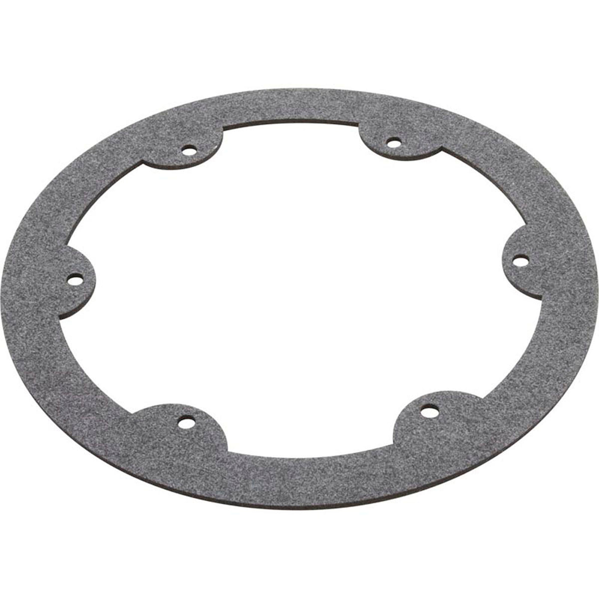 Gasket, Hayward Astrolite II, Light Face Ring