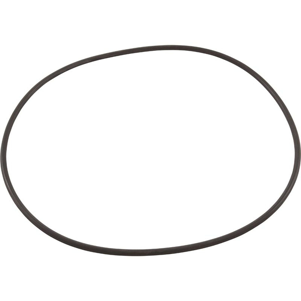 O-Ring U9-169 by Pentair