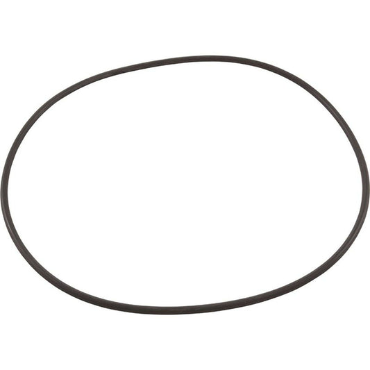 Joint torique U9-169 de Pentair