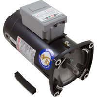 Mtr, Cent, 1Hp, 115/230V, 1-Sp, Sf1.25, 48Yfr