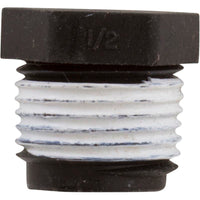 Plug, 1/2" Pipe Taped