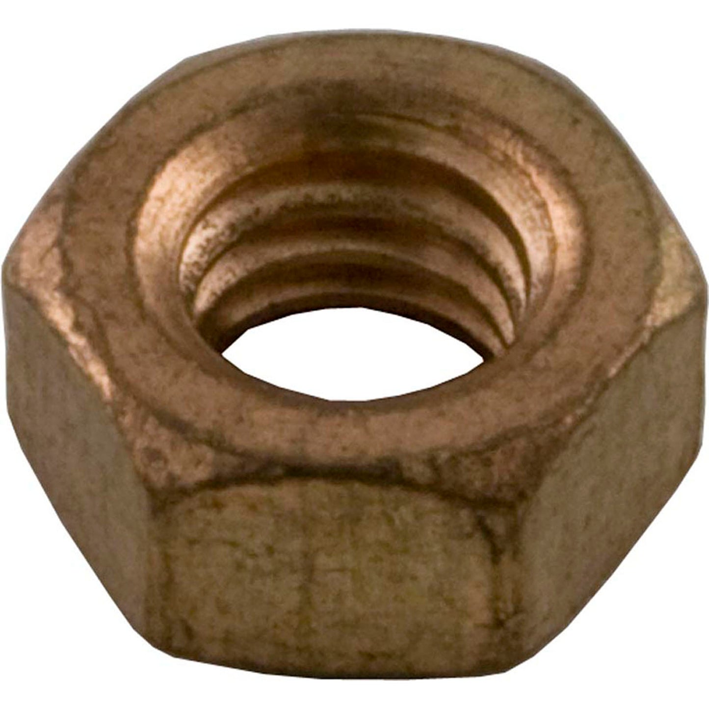 Hex Nut, Pentair Sta-Rite DES/HRS, 5/16-8