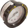 Pressure Gauge, Pentair, 1/4"mpt, 0-60psi, Back Mount