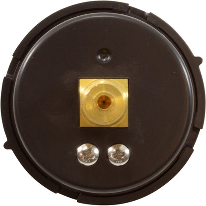 Manómetro Pentair, 1/4"mpt, 0-60 psi, montaje posterior