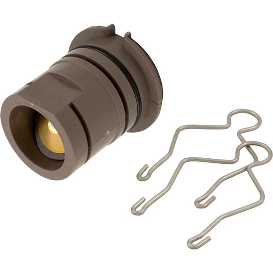 Inlet Assembly, Hayward Perflex EC60/65/70, with Check Valve