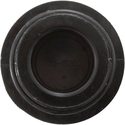 Drain Plug Assembly, Waterway Clearwater