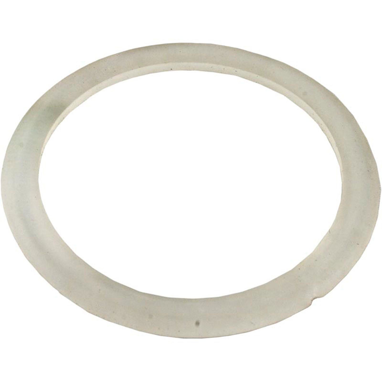 Gasket, Waterway CrystalWater, 2-1/2", Bulkhead Fitting