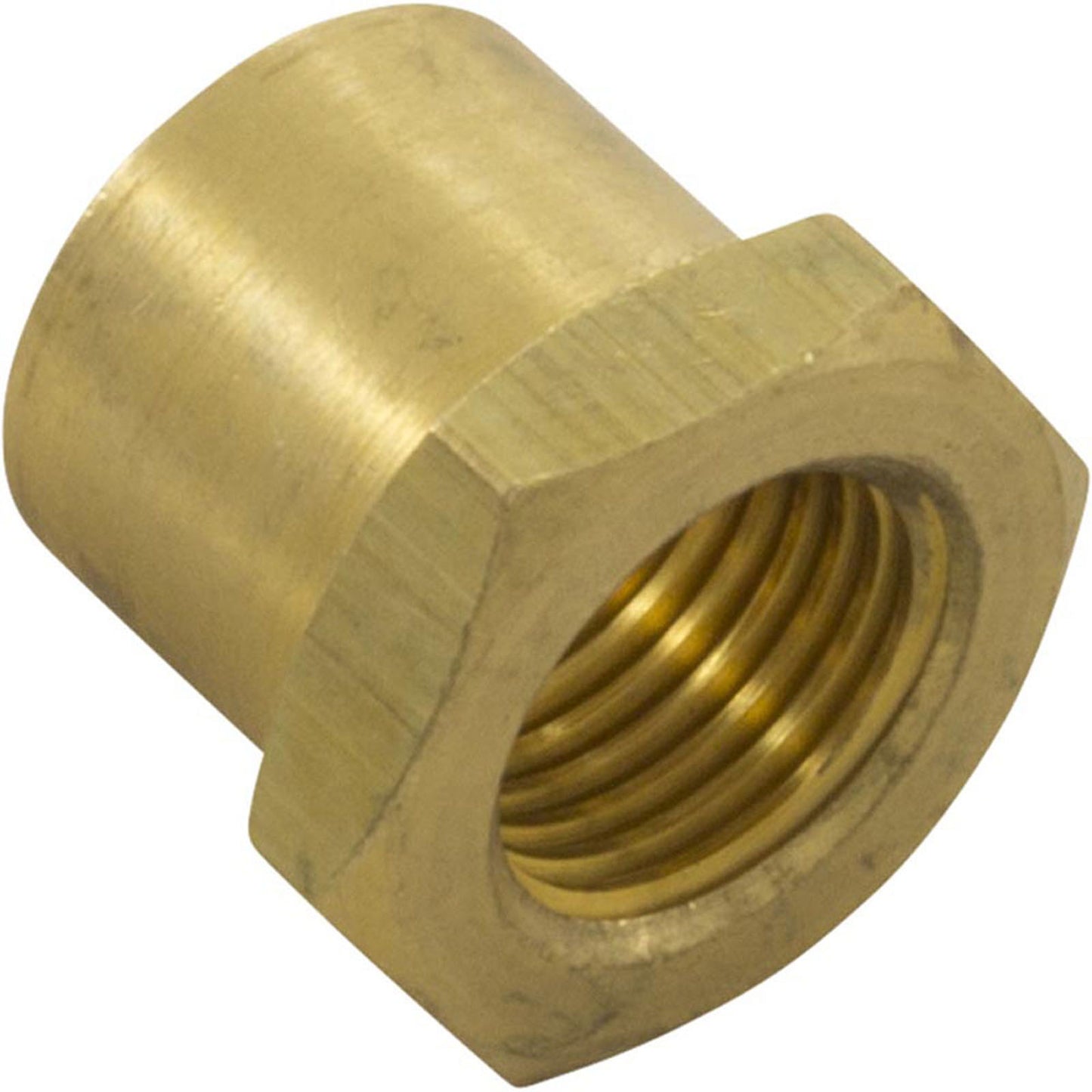Insert Nut, Anthony Apollo DE Filter Shaft, 0.5", Brass