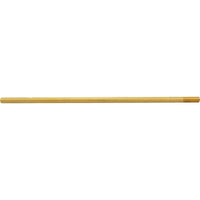 Filter Shaft, Anthony Apollo DE Filter, 17-1/4", Generic