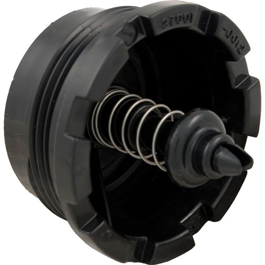 Spring Check Valve, Pentair Sta-Rite System 2
